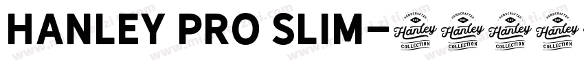 Hanley Pro Slim字体转换